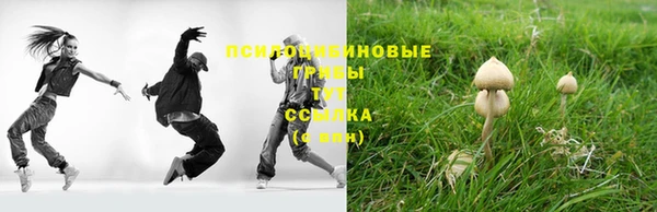 мдпв Лихославль