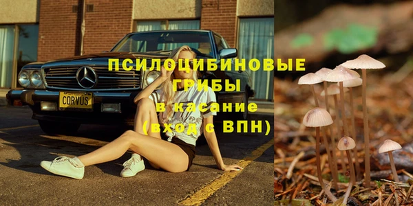 прущая мука Лиски