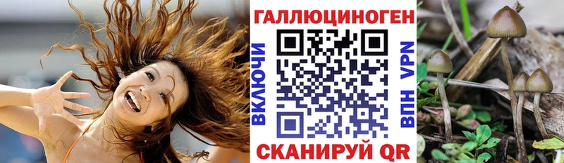 Галлюциногенные грибы мицелий  дарнет шоп  Юрга 