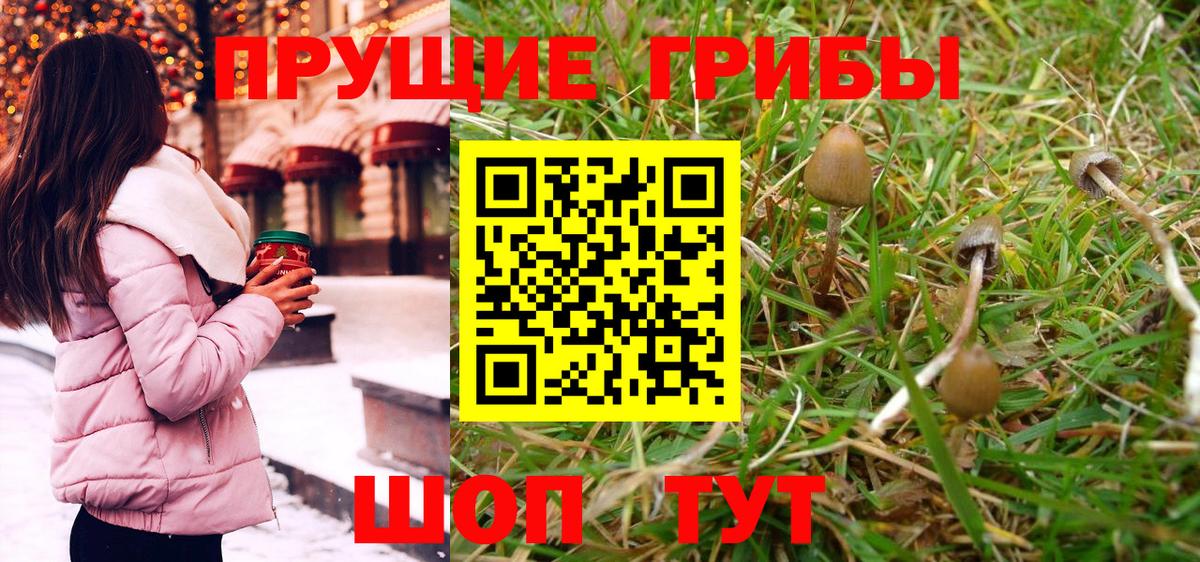 Юрга  Галлюциногенные грибы Magic Shrooms  Галлюциногенные грибы Magic Shrooms  Вход с VPN 