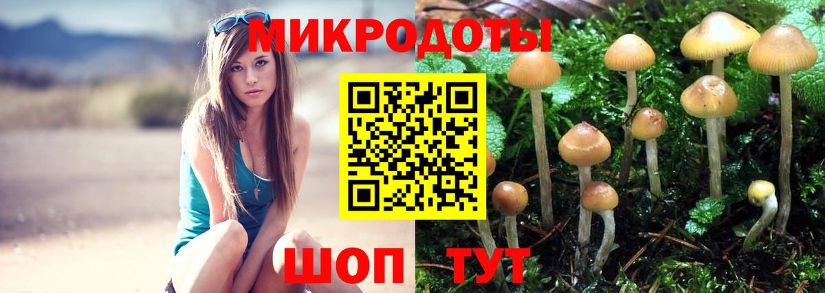 Псилоцибиновые грибы GOLDEN TEACHER Юрга