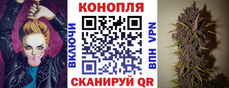 где купить   Юрга  Каннабис OG Kush 